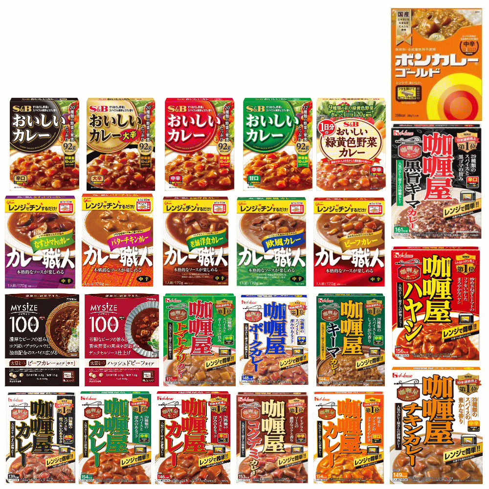 四大メーカーレトルトカレー24食 セット おいしいカレー カリー屋カレー ボンカレー カレー職人 関東圏送料無料のサムネイル