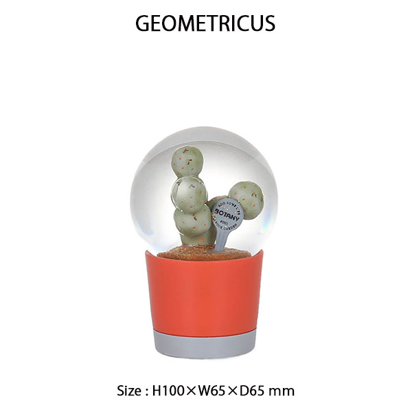 PLANTS WATER GLOBE Sサイズ 3種類 プランツ ウォーター グローブ スノードーム サボテン DULTON ダルトン