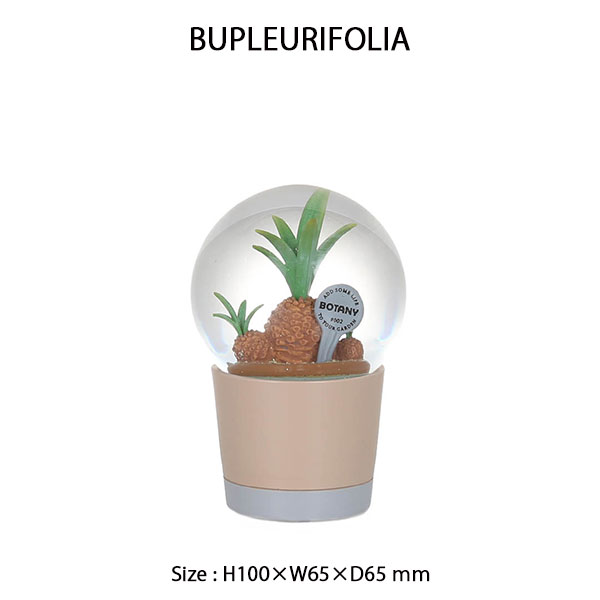 PLANTS WATER GLOBE Sサイズ 3種類 プランツ ウォーター グローブ スノードーム サボテン DULTON ダルトン [2]