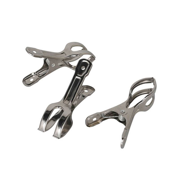 STAINLESS STEEL CLOTHESPIN SET OF 10 ���ƥ�쥹 �������� �������ԥ� 10pcs ���å� ���� �����Х��� ����ȥ� DULTON