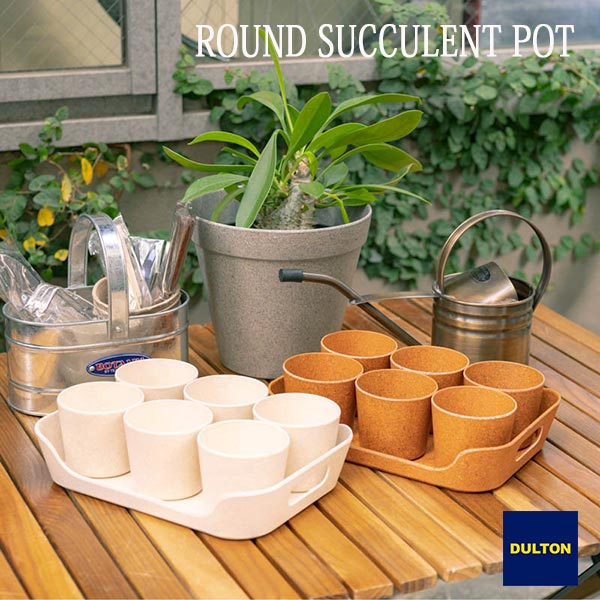 BOTANY ROUND SUCCULENT POT ボタニー ラウンド サキュレント ポット 植木鉢 自然由来 ダルトン DULTON