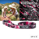 WildFlower LEASH STCY [h WOLFGANG EtMO AJ ^