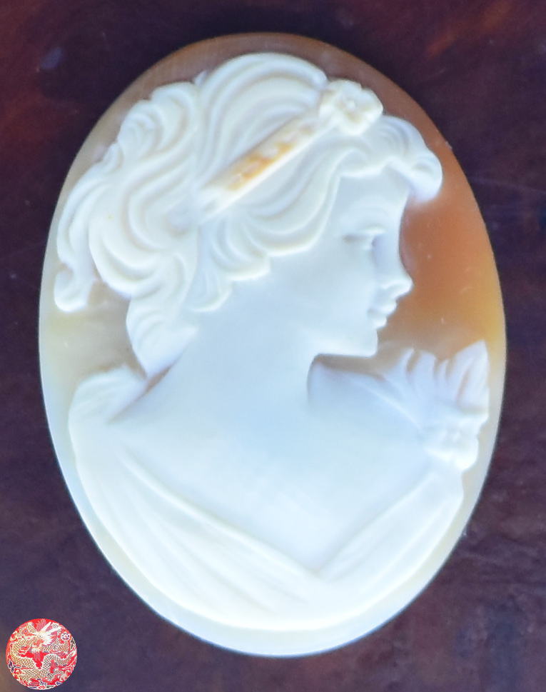 カメオ 貴婦人 浮き彫りCAMEO 新品 宝石 超希少超高級ストーン ジュエリーjewelry おしゃれレディース ネックレス威龍彩雲