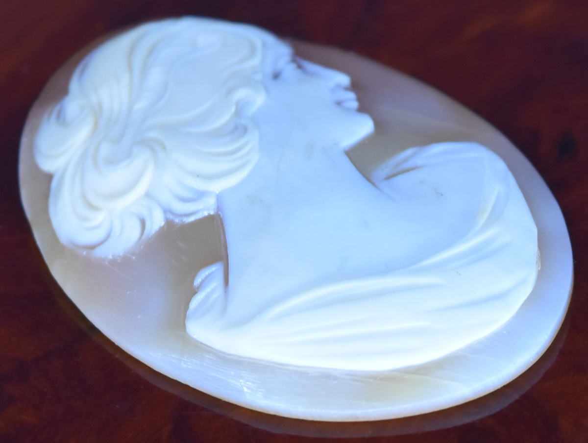 ���ᥪ ���ؿ� �⤭Ħ��CAMEO ���� ���� Ķ����Ķ��饹�ȡ��� ���奨�꡼jewelry ��������ǥ����� �ͥå��쥹��ζ�̱�����