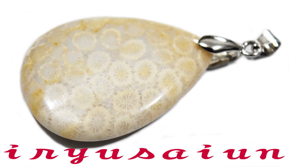 【送料無料】天然 珊瑚 サンゴ 化石フォッシルコーラル 菊花石ペンダントトップ男女兼用 新品 一点ものレディースネックレスメンズネックレスnecklace coral fossil威龍彩雲通販