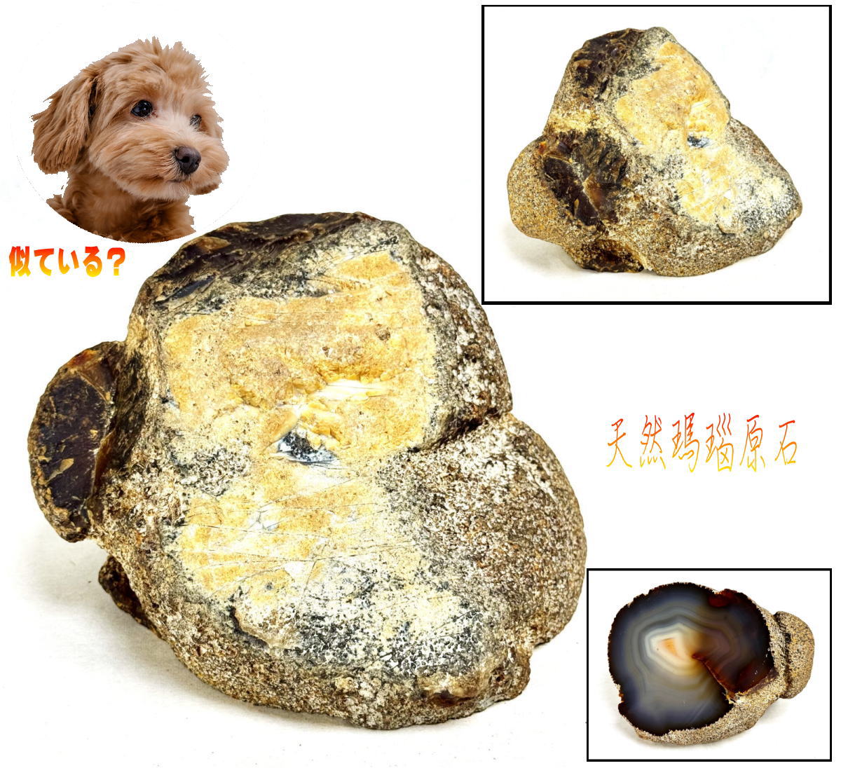 【送料無料】天然瑪瑙犬頭原石 鑑賞石唐木台 一点もの 置物約4.9kg 観賞用 稀少 奇石天然石 自然石 美石 原石 (旧家蔵出し） 威龍彩雲通販