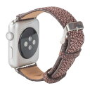 Revetta GCv K[V XeBOC Apple Watch oh xg uE  38mm/40mm/41mm SE/8/7/6/5/4/3/2/1 [091-2stab38]