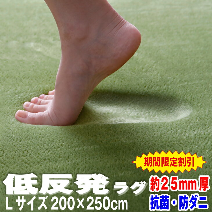 ＼スーパーSALE最大50％OFF／ラグ 低反発 ラグ 極厚25mm 200×250cm ラグ 厚手 滑り止め 低反発マット マット カーペット 長方形 四角 絨毯 ホットカーペット対応 リビング マイクロファイバー 秋冬 秋用 冬用 増税