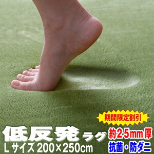 ＼スーパーSALE最大50％OFF／ラグ 低反発 ラグ 極厚25mm 200×250cm ラグ 厚手 滑り止め 低反発マット マット カーペット 長方形 四角 絨毯 ホットカーペット対応 リビング マイクロファイバー 秋冬 秋用 冬用 増税