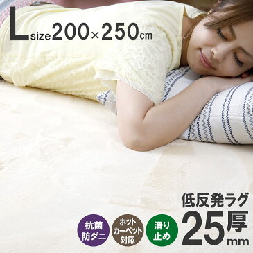 【抗菌 防ダニ】ラグ 低反発 ラグ 極厚25mm 200×250cm ラグ 厚手 滑り止め 低反発マット マット カーペット 長方形 四角 絨毯 オールシーズン可 リビング マイクロファイバー 秋 冬