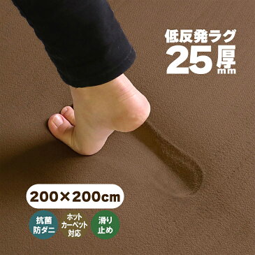 【抗菌 防ダニ】ラグ 低反発 ラグ 極厚25mm 200×200cm ラグ 厚手 滑り止め 低反発マット マット カーペット 長方形 四角 絨毯 オールシーズン可 リビング マイクロファイバー 冬 春 フリーリー