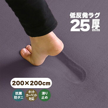 【抗菌 防ダニ】ラグ 低反発 ラグ 極厚25mm 200×200cm ラグ 厚手 滑り止め 低反発マット マット カーペット 長方形 四角 絨毯 オールシーズン可 リビング マイクロファイバー 冬 春 フリーリー