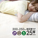 【抗菌 防ダニ】ラグ 低反発 ラグ 極厚25mm 200×250cm ラグ 厚手 滑り止め 低反発マット マット カーペット 長方形 …