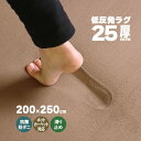 【抗菌 防ダニ】ラグ 低反発 ラグ 極厚25mm 200×250cm ラグ 厚手 滑り止め 低反発マット マット カーペット 長方形 …