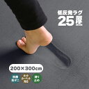 【抗菌 防ダニ】ラグ 低反発 ラグ 極厚25mm 200×300cm ラグ 厚手 滑り止め 低反発マット マット カーペット 長方形 …