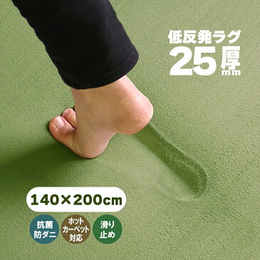 【抗菌 防ダニ】ラグ 低反発 ラグ 極厚25mm 140×200cm ラグ 厚手 滑り止め 低反発マット マット カーペット 長方形 四角 絨毯 オールシーズン可 リビング マイクロファイバー 冬 春 フリーリー