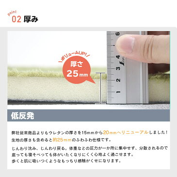 マラソンSALE 【抗菌 防ダニ】ラグ 低反発 極厚25mm 200×250cm ラグ 厚手 滑り止め ラグマット カーペット 3畳 ホットカーペット対応 リビング 秋 冬 用
