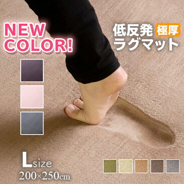 マラソンSALE 【抗菌 防ダニ】ラグ 低反発 極厚25mm 200×250cm ラグ 厚手 滑り止め ラグマット カーペット 3畳 ホットカーペット対応 リビング 秋 冬 用