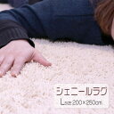 10周年記念SALE! ラグ カーペット シェニールラグ 吸水速乾 200×250cm 滑り止め付 西海岸 ラグカーペット カーペット オールシーズン可 長方形...
