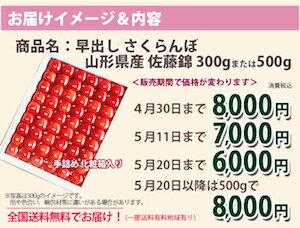 さくらんぼ 佐藤錦 早出し 手詰め 300g 4月30日までの発送 【 山口果樹園 】 山形県産 ギフト 贈り物 贈答 母の日 父の日 人気 送料無料 産地直送 お取り寄せ有機減農薬栽培 農家直送 東根市 佐藤錦 高砂 ナポレオン 月山錦 紅秀峰 サクランボ 農産物 訳あり