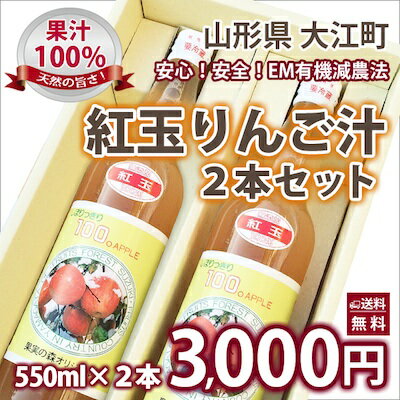 りんごジュース りんご 紅玉 贈答 送料無料 山形 リンゴ 贈答用 紅玉 りんご汁　550ml　2本入り 山形県大江町産 美味日本 カロリー 値段 国産 東北 産地 10kg 5kg 3kg 訳あり 贈答 農産物 ポイント消化 100円 300円 500円