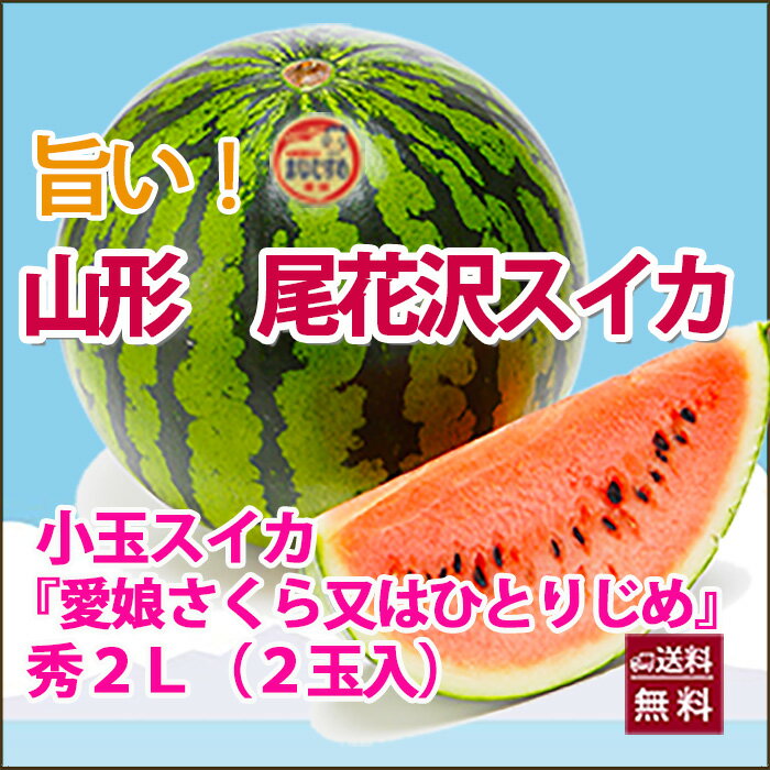 すいか スイカ 小玉スイカ 送料無料 『 西瓜 愛娘さくら又はひとりじめ 秀2L 2玉入り 贈答用 』 山形産 甘いスイカ 訳あり でんすけすいか すいか スイカ 農産物 ポイント消化 100円 300円 500円 お中元