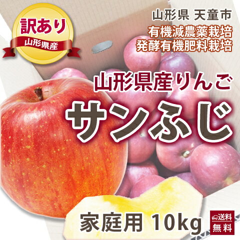 ふじりんご 訳あり 送料無料 ご家庭用 10kg 山形県 天童市 寺正園 林檎 甘みと酸味のバランス抜群 果汁たっぷり シャキシャキ食感 人気品種 秋りんご フ...