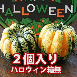 ハロウィン かぼちゃ カボチャ 生かぼちゃ 【 恐竜の卵 カーニバル 2個入り 箱無し 】 飾り 巨大 置物 装飾 オブジェ パンプキン オーナメント 屋外 玄関 農産物 花ギフト ポイント消化 100円 300円 500円