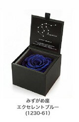 プリザーブド 花 ギフト 送料無料 みずがめ座(1月21日から2月19日生まれ)のホロスコープ エクセレントブルー(1230-61) 誕生日 結婚記念日 クリスマス ポイント消化 100円 300円 500円