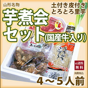 山形 芋煮 セット 芋煮会 セット 国産牛 4〜5人前 里芋 さといも 名物 秋の風物詩 芋煮会 悪戸いも 芋 悪戸芋 農産物 ポイント消化 100円 300円 500円