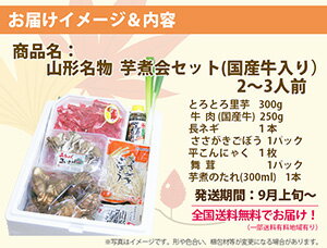 山形 芋煮 セット 芋煮会 セット 2〜3人前 里芋 さといも 山形 牛入り 名物 秋の風物詩 芋煮会 ヤマザワ 悪戸いも 芋 悪戸芋 農産物 ポイント消化 100円 300円 500円