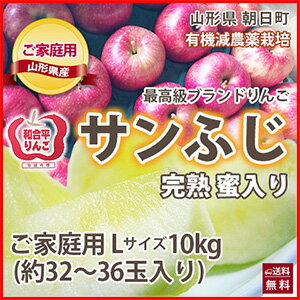 ふじりんご 訳あり Lサイズ 10kg 山形県 朝日町 和合平産 りんご 林檎 家庭用 送料無料 甘みと酸味のバランス抜群 果汁たっぷり ジューシー シャキシャ...