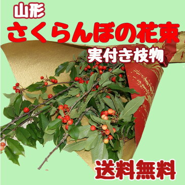 山形産さくらんぼの花束（実付き枝物） 農産物 ポイント消化 100円 300円 500円