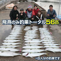 楽天市場 ジグ 1g オフショア ジギング ブリ ヒラマサ カンパチ カツオ シイラ 青物 おすすめ グローブラック Or シルバー 2色をご用意 210mm ロング メタルジグ 近海 ライトジギング 電動ジギング にも Ksガレージオリジナル Led作業灯 集魚灯のksガレージ 楽天市場 ジグ 1g オフショア ジギング ブリ ヒラマサ カンパチ カツオ シイラ 青物 おすすめ グローブラック Or シルバー 2色をご用意 210mm ロング メタルジグ 近海 ライトジギング 電動ジギング にも Ksガレージオリジナル Led作業灯 集魚灯のksガレージ