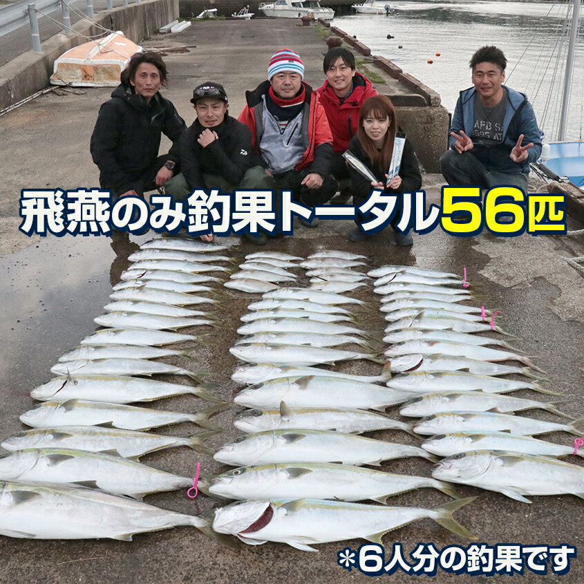 楽天市場 ジグ 1ｇ オフショア ジギング ブリ ヒラマサ カンパチ カツオ シイラ 青物 おすすめ グローブラック Or シルバー 2色をご用意 210mm ロング メタルジグ 近海 ライトジギング 電動ジギング にも Ksガレージオリジナル Led作業灯 集魚灯のksガレージ