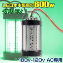 集魚灯 グリーン 100v AC専用 水中集魚灯 緑 高出力 600w 72000LM 船 ボート 漁船 船舶用 集魚ライト イカ釣り LED集魚灯 シラスウナギ アジ タチウオ ナイトタイラバにも