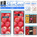 ガラケー 専用 スキンシール 表面・裏面 【 チョコレート/お菓子/フルーツ シリーズ 】★ GRATINA MARVERA をはじめとしたフィーチャフォン・ガ...