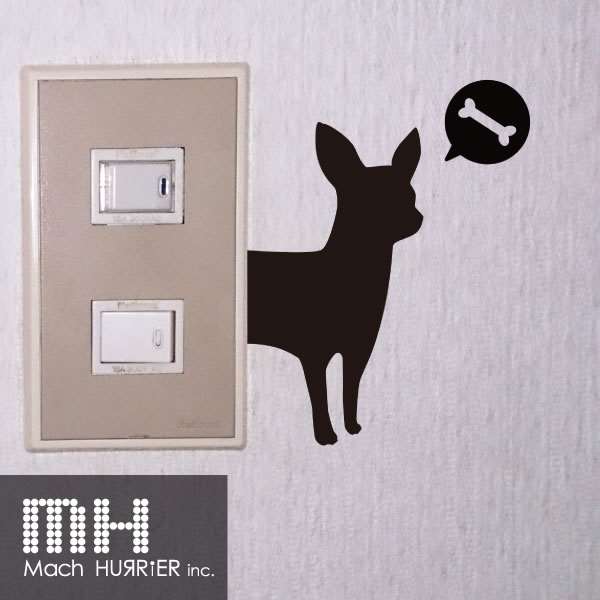 륹ƥå  åƥå / 03  [ݥå][][] ŽäƤϤ륹ƥå ڻȤͳߡ |21| |2a| |wc| \e 10P18Jun16