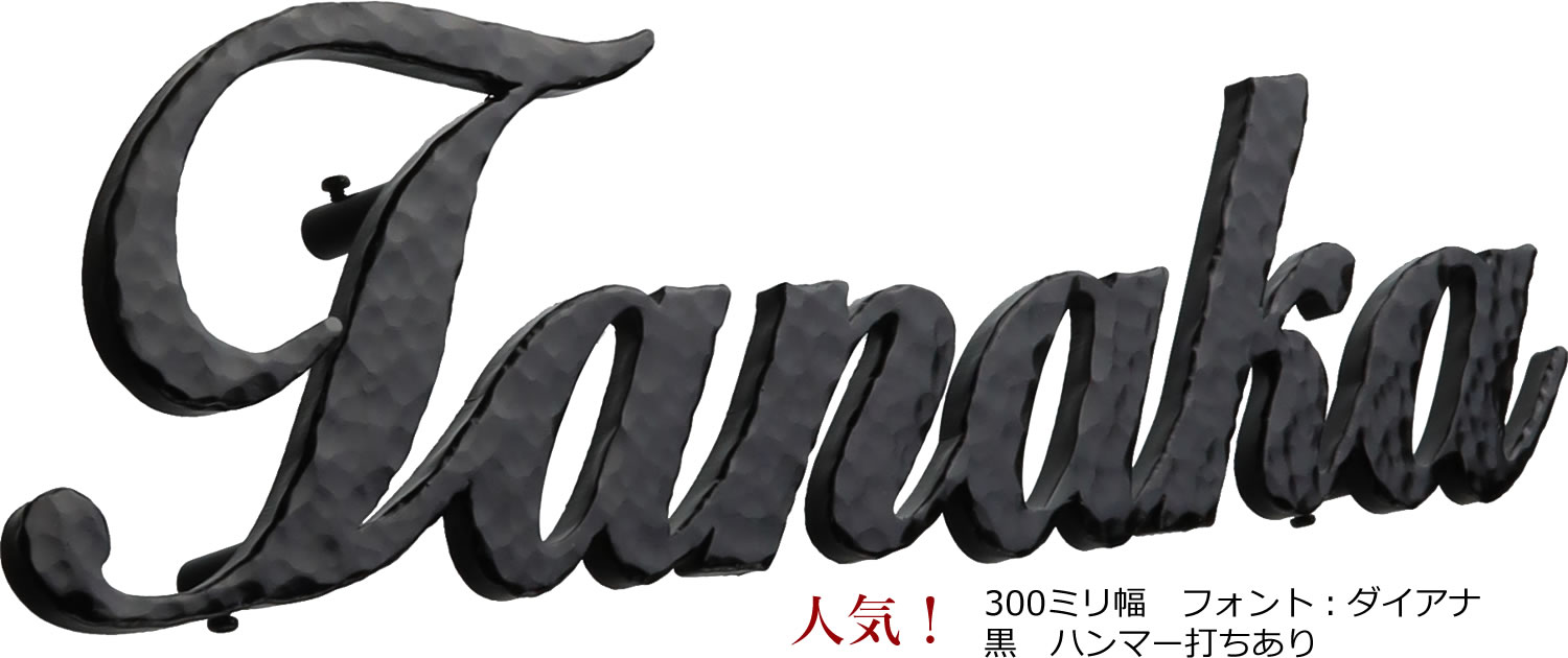 表札 アルミ 表札 切文字 切り文字 表札 アルファベット 8文字以内 漢字2文字以内 ひょうさつ 高品質表札 24,444円から 1文字1,000円追加 番地追加可 ハンマー打ち有無