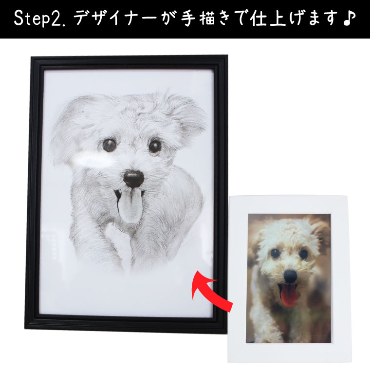 �̿������� ���饹�ȥ����� �ץ��� ��� �۱� �ե졼���դ� A4������ �ڥåȶ��� �����Х������� ���ꥸ�ʥ륤�饹�� �����ȥѥͥ� �����ȥܡ��� �ɳݤ���ǽ �ڥåȥ��ꥢ�� �ڥåȥ��� �ڥåȶ��� �ץ쥼��� ���ե� ���ꥢ�� ���å� �ڥå� �� ǭ ���