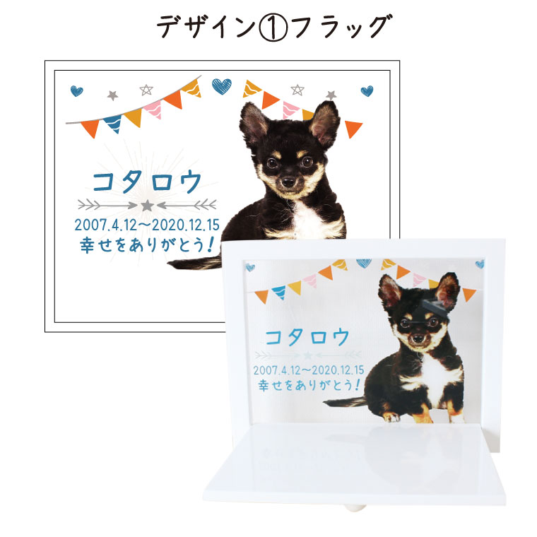 �ڥå�ʩ�� �ޤꤿ���߼�������� ���ꥢ��ϥ��� �ե륫�顼�ץ��� ���ꥸ�ʥ� �̿����� ����ѥ��� ��Ǽ�ڥå�ʩ�� �ڥåȶ��� ����̵�� �� ǭ �ڥåȶ��� �ڥåȥ��� ���ꥢ�� �긵���� �����ڡ�����̵����
