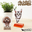 ペット位牌 アクリルパネル 木製台座付き フルカラー 写真プリント 名入れ オリジナル犬 猫 ペット供養 ペットロス 位牌 アクリル製 仏具 仏壇 デザイン モダン 手元供養