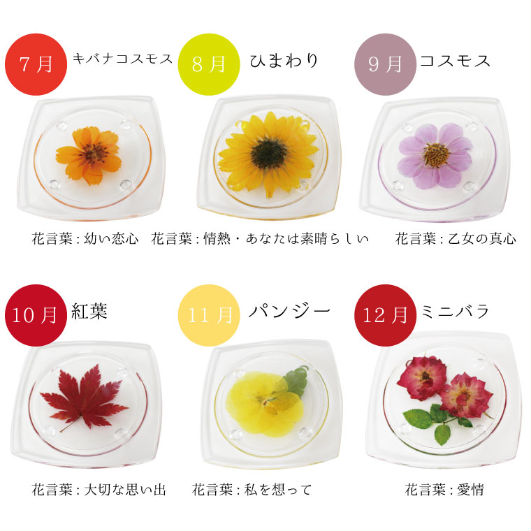 ʩ�� ����ζ�ʪ�� ������ 12���� �ָ��� ����� ��ϧ �ߥ�ʩ�񥻥åȡ� �͵� 12�� �ۼ긵���� �ڥåȶ��� �� ǭ �ߥ�ʩ�� ���å� ���襤�� �ե�