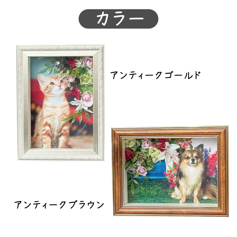 ���ꥢ��ե��ȥե졼�� 2LȽ �ե������ ����ƥ�����BOX �ե졼�� �ߥ˹��ۤ�פ��Ф��ʤ��Ǽ��ǽ �ڥåȥ��� �ڥå�ʩ�� �ڥåȥ��� �ڥå�ʩ�� �Ϥ���Ƥμ긵���� �� ǭ �ڥåȶ��� �ڥå�ʩ�� �ڥå�ʩ�� �긵���� ���襤�� ���ꥢ��