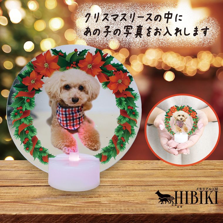 �ڥåȶ��� �����˸������ ������륹����� ���ꥹ�ޥ� LED�饤�� ����ߥ͡������ ������� ���ꥹ�ޥ��꡼��