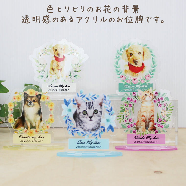 �ڥåȰ��� ������륹����� �ե륫�顼 �̿����� ���������ᥤ�� ���襤�� ����ѥ��� �������Ʋİ��� ���ꥢ�륪�֥�������