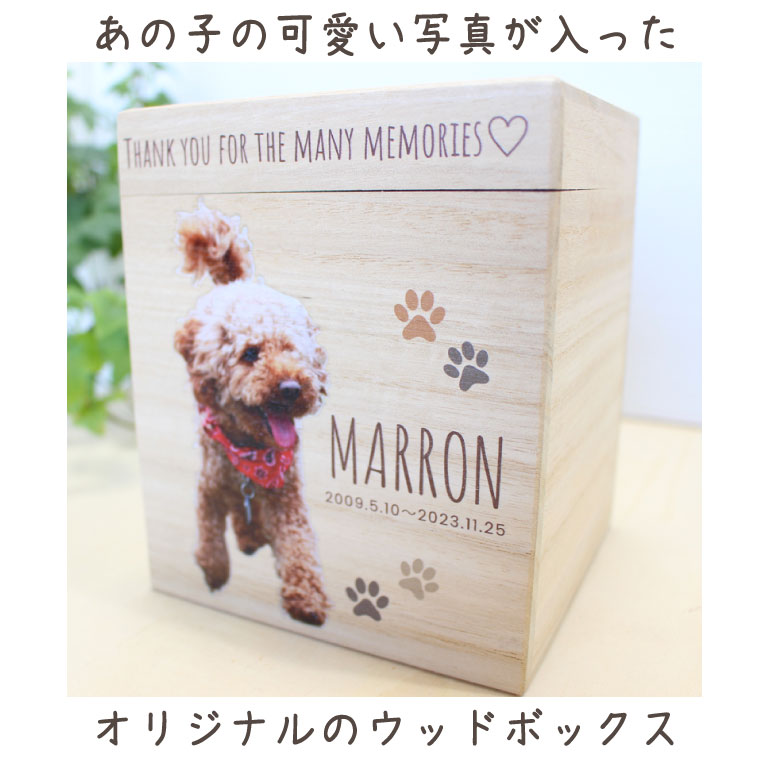 �ڥå� ���ۥ��С� �ʥ����� ���åɥܥå��� ���� �ڥåȹ��� ���� ��Ȣ 4���� �Ȥ��� �ե륫�顼�ץ��� �̿����� ���ꥸ�ʥ� ���� �ڥåȶ��� ���ۼ�Ǽ ���ꥢ��ܥå����ߥ�ʩ�� ���襤�� ʩ�� �ڥåȶ��� ������ �淿�� ǭ���� ����Ȣ