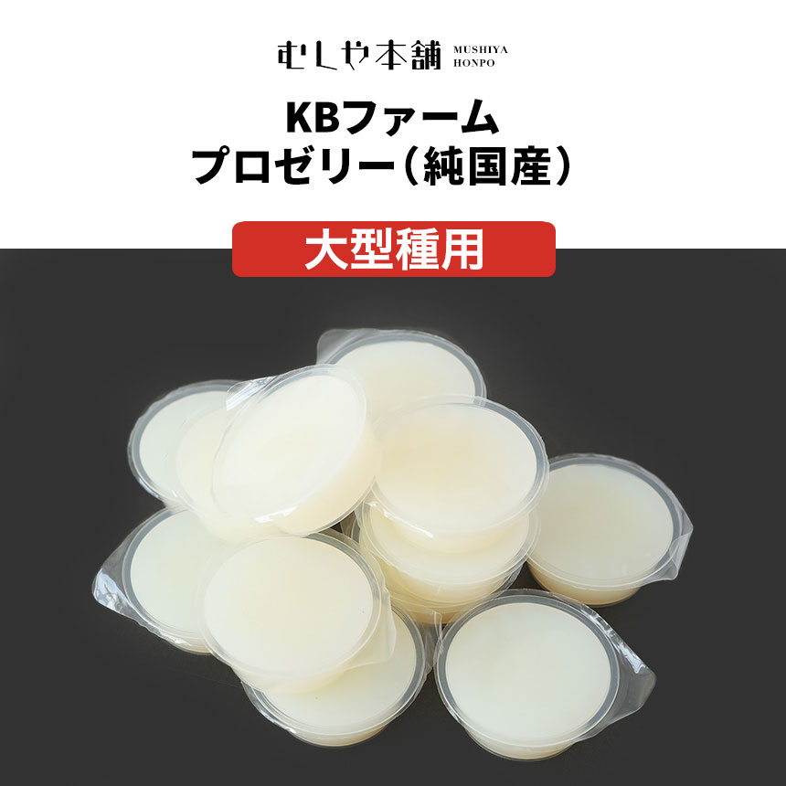 むしや本舗　食いつき抜群！【プロゼリー（ KBファーム社製）純国産 昆虫ゼリー 大型種用 60g/1カップ】カブトムシ／クワガタ／ エサ／餌