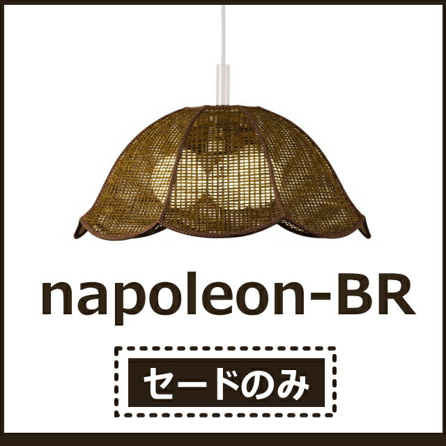 ڥɤΤߡ23 ڥȥ饤  ʥݥ쥪 ֥饦/napoleon-BR