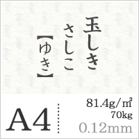 玉しき「さしこ」ゆき 81.4g/平米 0.12mm A4サイズ:1000枚, 和風 紙 和柄 印刷用紙 印刷紙 和紙 色紙 おしゃれ ファインペーパー メッセージ カード はがき パンフレット 名刺 案内状 招待状 刺し子柄 模様 工作 画用紙 松本洋紙店